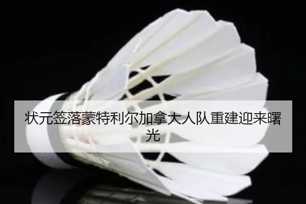 状元签落蒙特利尔加拿大人队重建迎来曙光